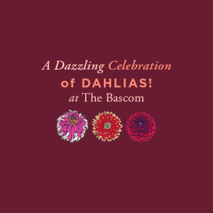 Single Bloom Winners 